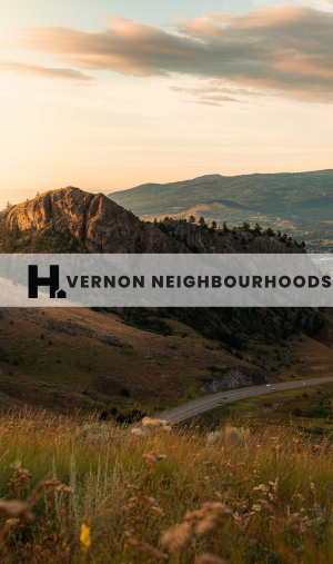 Vernon BC Real Estate Neighbourhoods